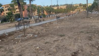 الفضاء البيئي بالحرم الجامعي بسطات يحتضر فهل من مغيث؟