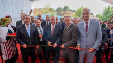وزير الفلاحة يترأس افتتاح الدورة الـ15 للمعرض الجهوي للماعز بشفشاون (صور)