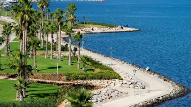 شركة هولندية تدخل على خط أزمة مارشيكا.. 80 مليار سنتيم بين شراكة مشبوهة وشكوك الفساد