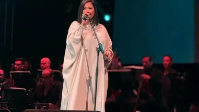 شيرين تختتم الدورة الـ 20 لمهرجان موازين.. عودة جديدة وسط تصفيقات جماهيرية (فيديو)