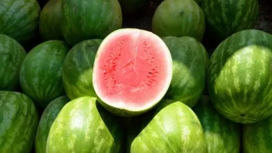 آسفي.. تسجيل حالات تسمم غذائي بسبب فاكهة "الدلاح"