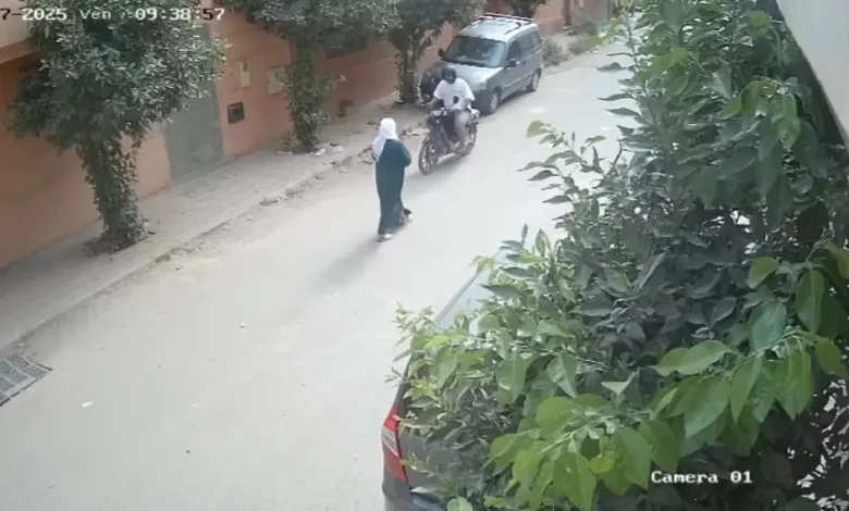 اللص الذي سحل سيدة مسنة بمراكش يضع حدا لحياته داخل ضيعة فلاحية