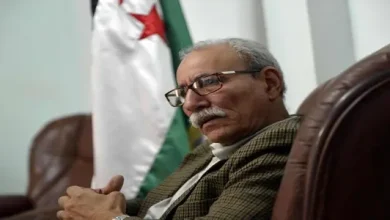استقبال غالي