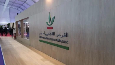 من يسير القرض الفلاحي…المدير العام أم حنان أعجلي؟