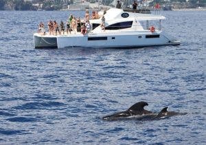 ماديرا.. جزيرة الأحلام "الخضراء" التي فتحت حدودها للمغاربة ب600 درهم فقط