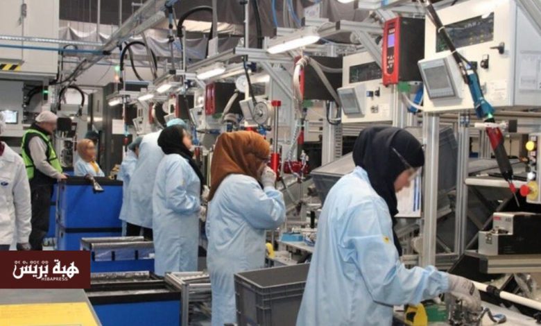 إحداث 358 مقاولة جديدة بجهة كلميم-وادنون خلال سنة 2025