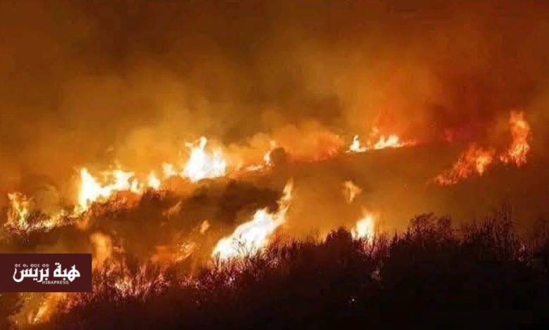 إسبانيا.. مصرع شخص وإجلاء 180 آخرين جراء حريق في غابات مدريد