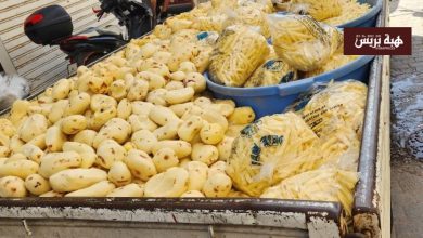 الفنيدق.. ضبط محل سري يوزع بطاطس غير صالحة للاستهلاك