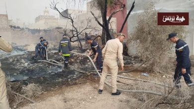 بيوكرى.. حريق يأتي على حظيرة ويتسبب في نفوق العشرات من رؤوس الماشية