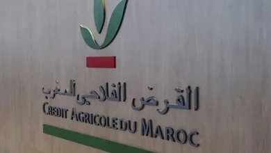 شكايات واحتقان داخل القرض الفلاحي بجهة بني ملال-خنيفرة.. موظفون يشتكون من التسيير