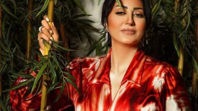مصر.. هذه حقيقة القبض على الفنانة وفاء عامر